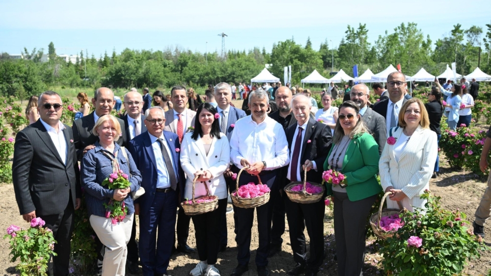 ‘EDİRNE GÜLÜ’ HASAT EDİLDİ