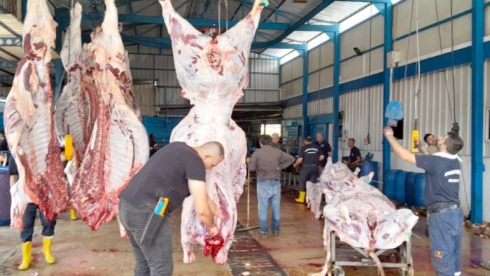MERAKLA BEKLENEN FİYATLAR AÇIKLANDI